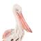 13.25" Pelican Textured Decorative Sculpture with Feathers & Round Blocks